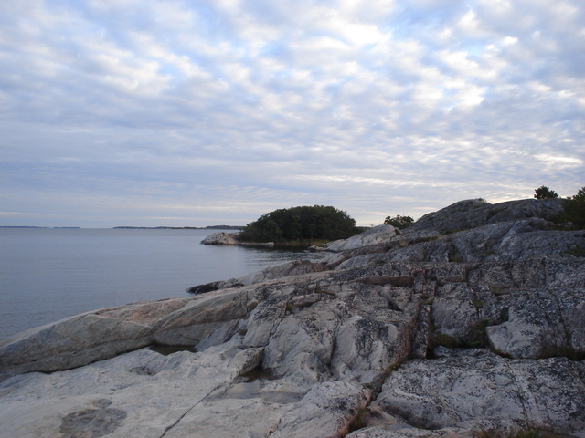 dsc02694.jpg