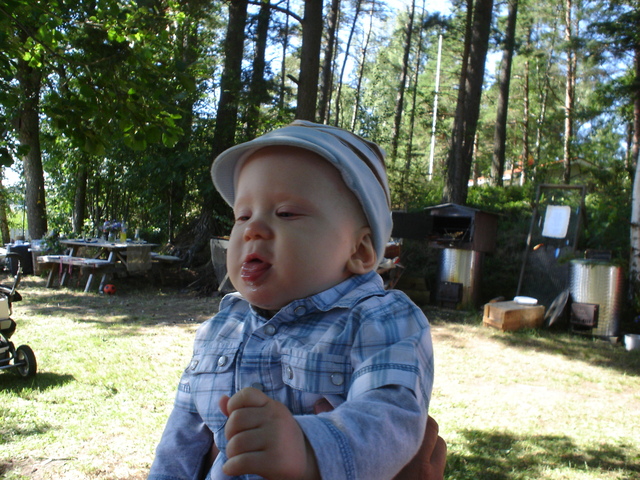 dsc02650.jpg