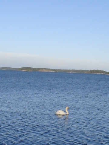 dsc02662.jpg