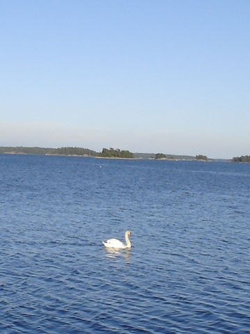 dsc02663.jpg