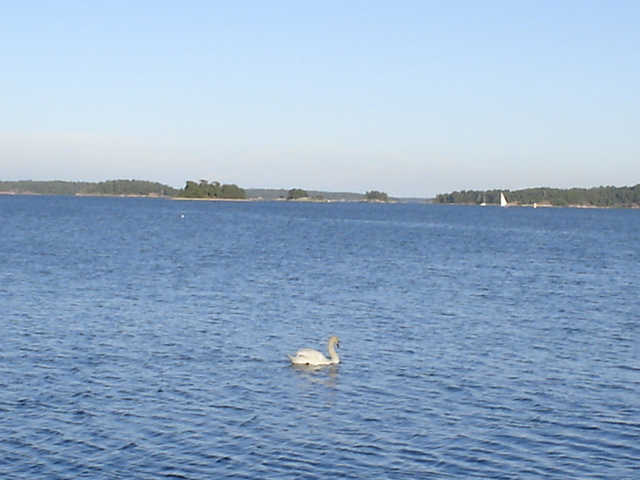 dsc02664.jpg