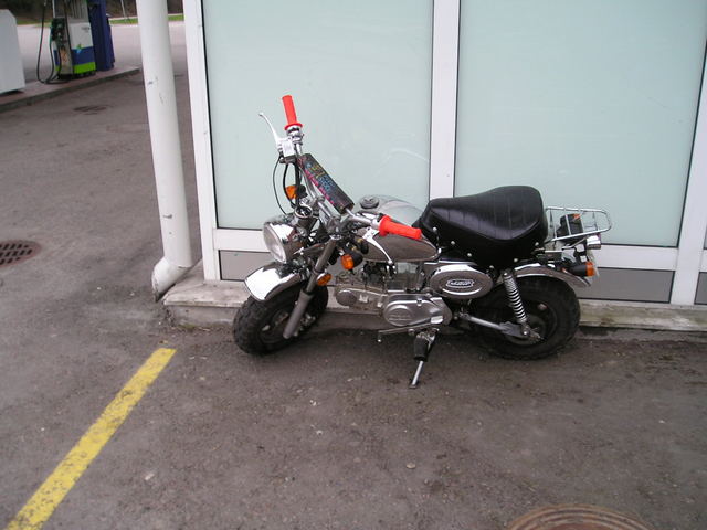 p1010009.jpg