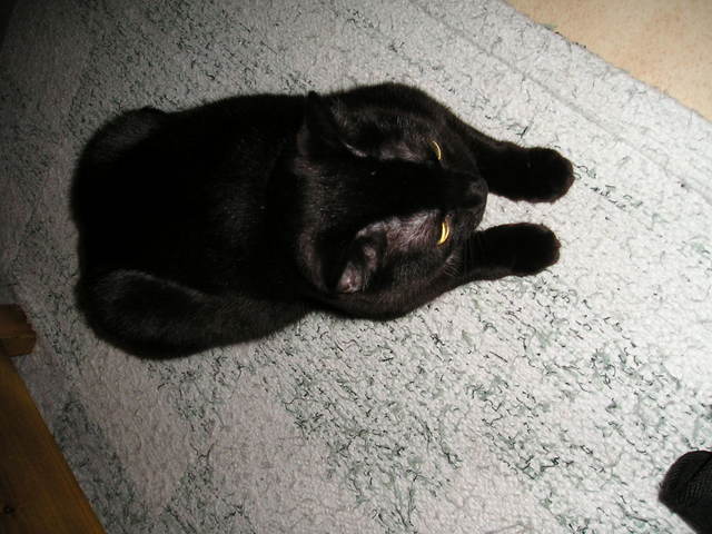 p1010018.jpg