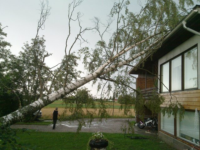 20100726_003.jpg