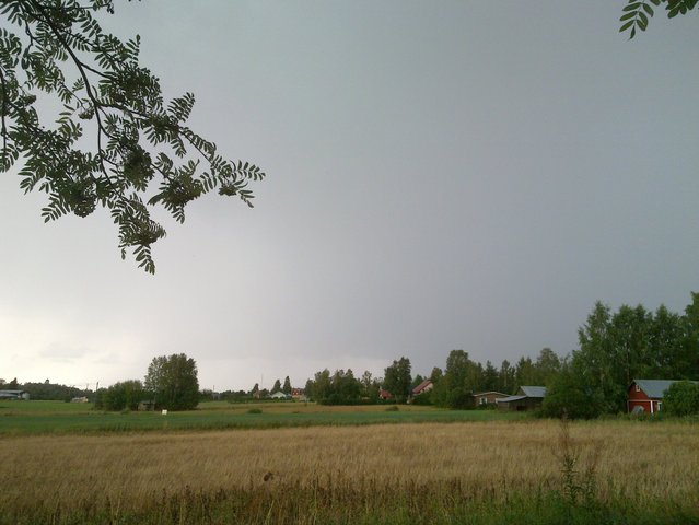 20100726_004.jpg