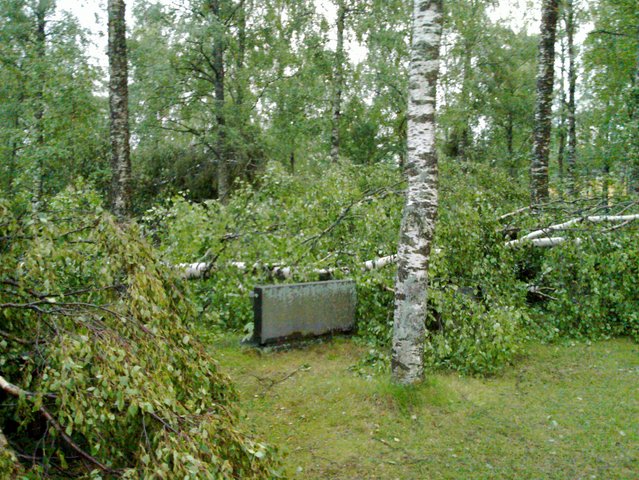 20100726_011.jpg