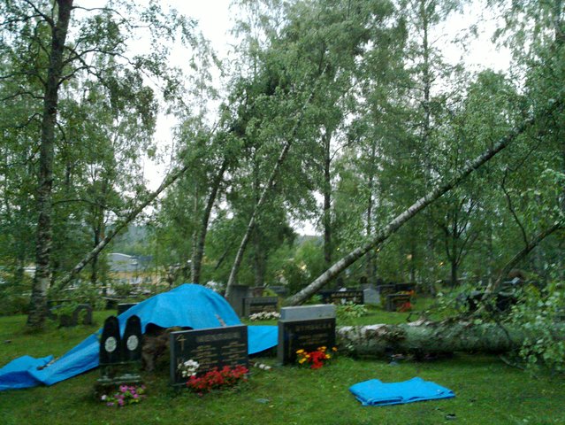 20100726_015.jpg