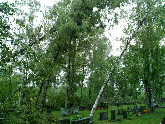 20100726_017.jpg