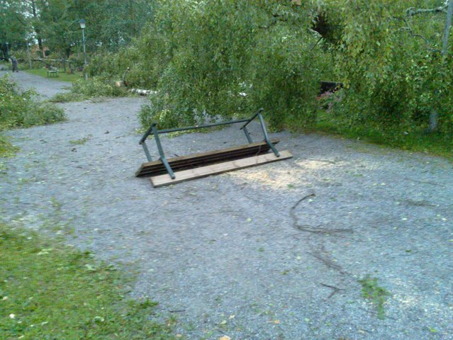 20100726_018.jpg