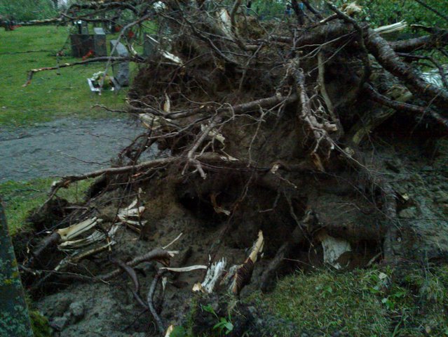 20100726_020.jpg
