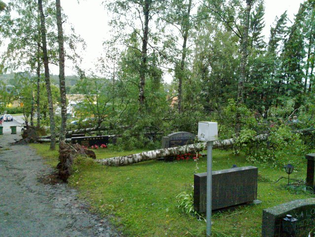 20100726_021.jpg