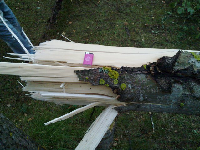 20100726_024.jpg