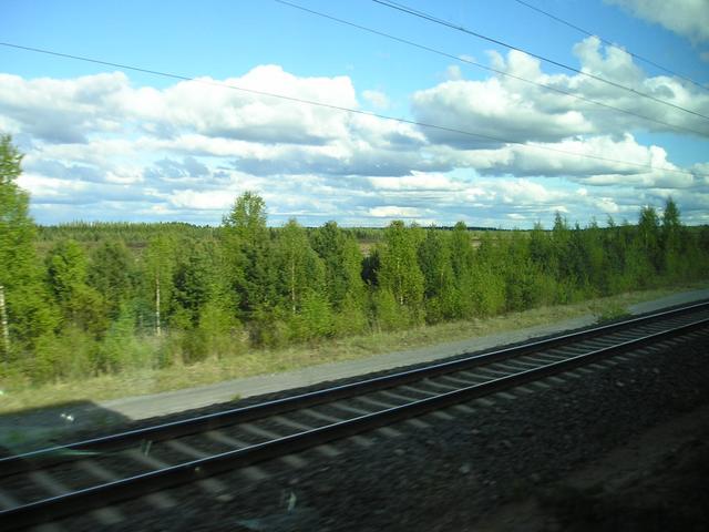 p5280008.jpg