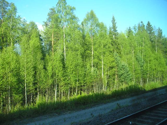 p5280011.jpg
