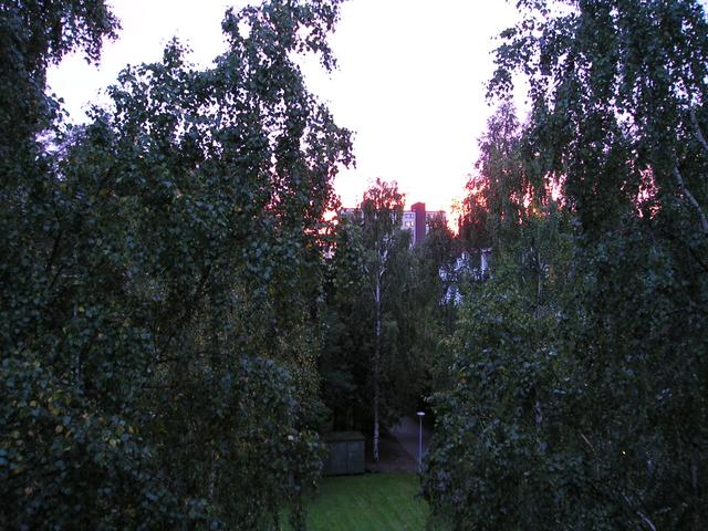 p9090001.jpg