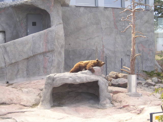 p1010005.jpg