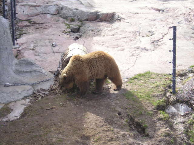 p1010006.jpg