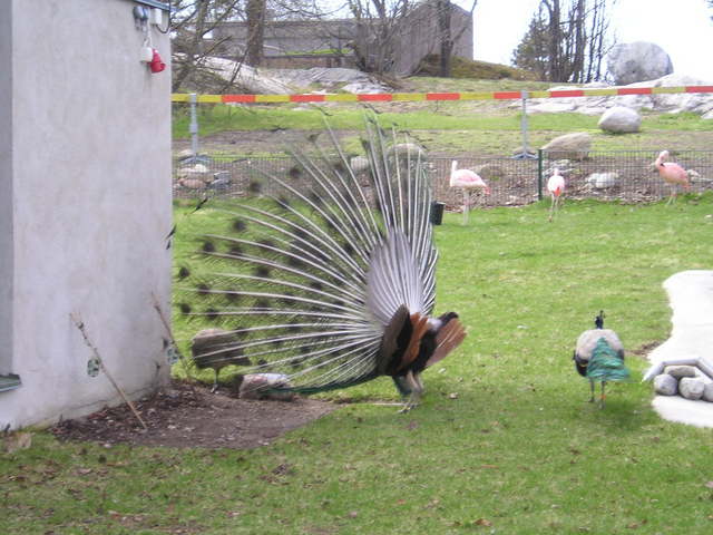 p1010008.jpg