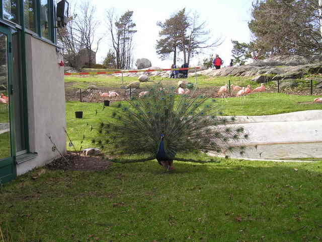 p1010009.jpg