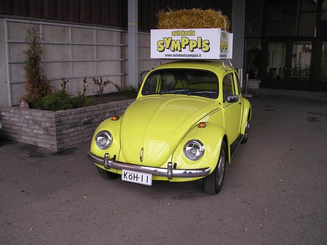 p4110059.jpg