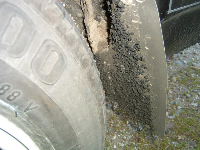 dscf0081.jpg