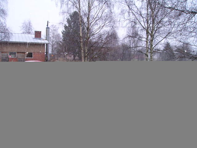 p1010002_2.jpg