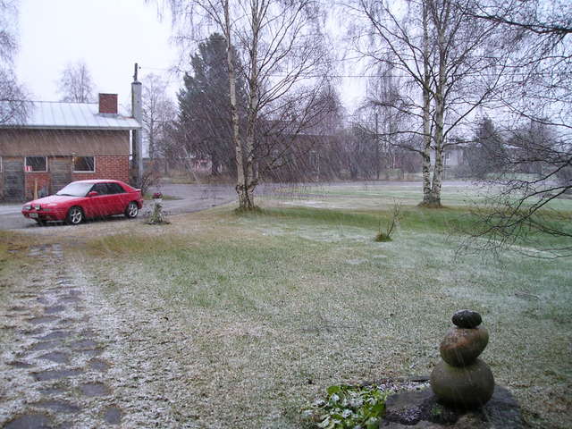 p1010003.jpg