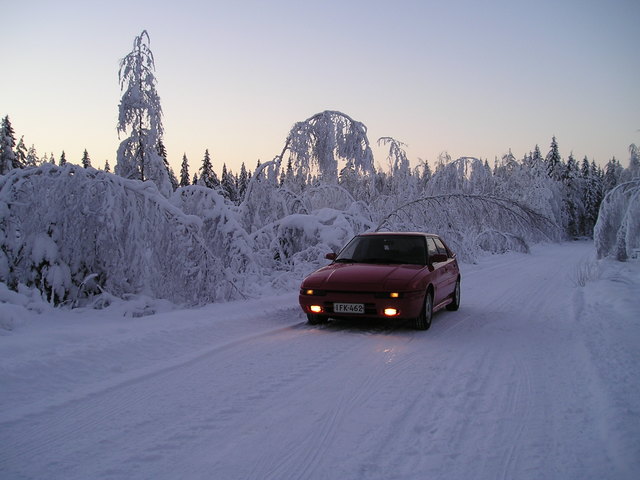 p1010005.jpg