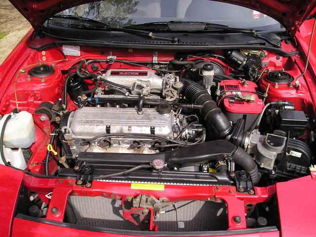 p1010006.jpg