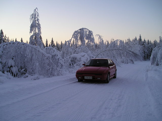 p1010006_2.jpg
