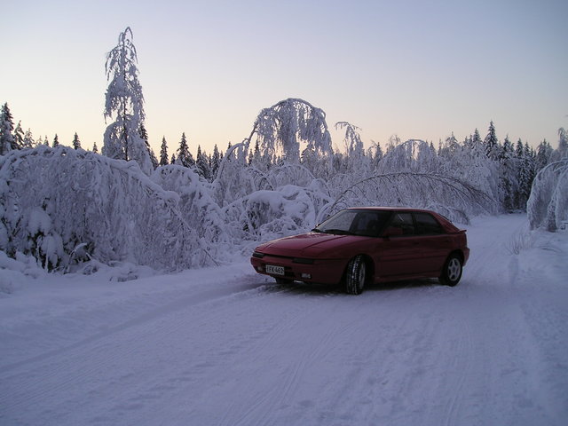 p1010007.jpg
