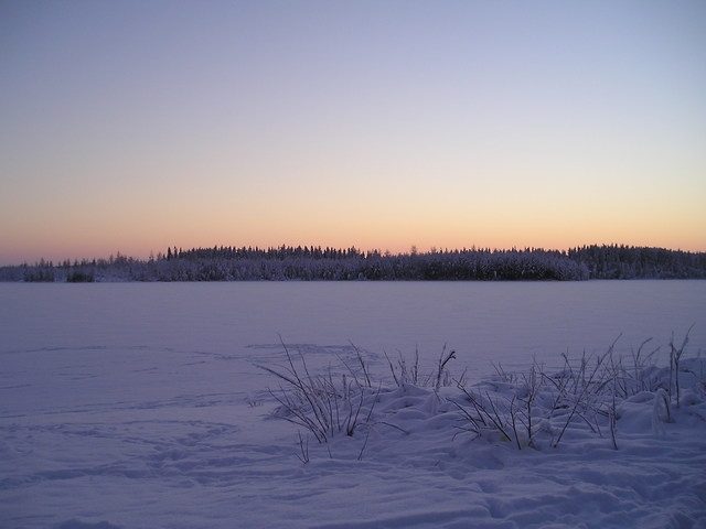 p1010010_2.jpg