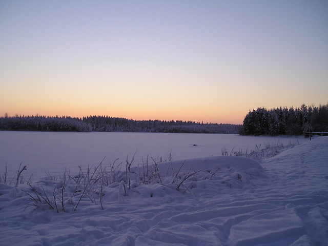 p1010011_2.jpg