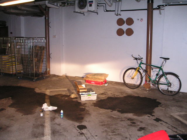 p2030014.jpg