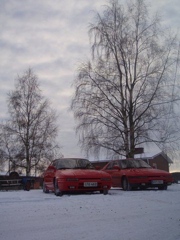 Pb050006.jpg