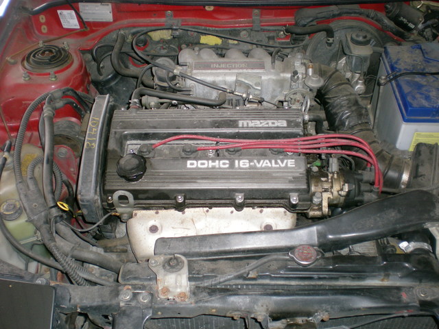 DSCN5629.jpg