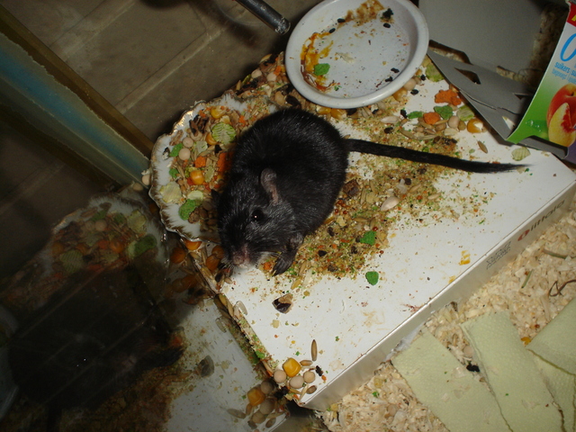 dsc02146.jpg