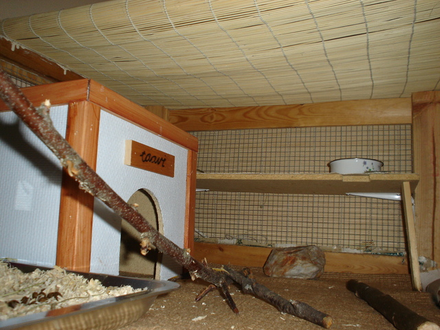 dsc02126.jpg