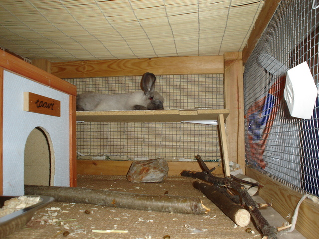 dsc02147.jpg