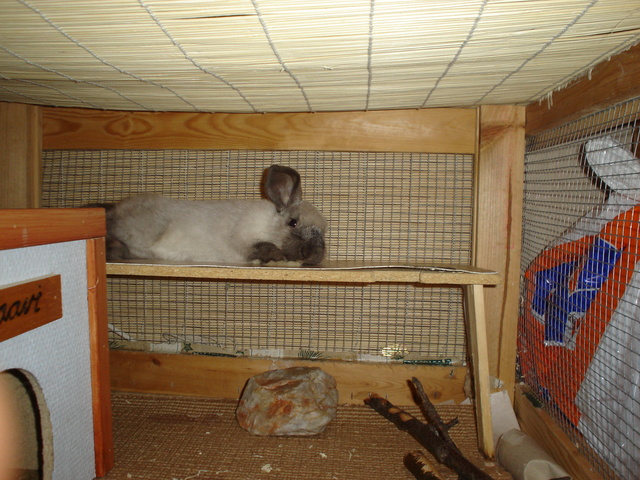 dsc02148.jpg