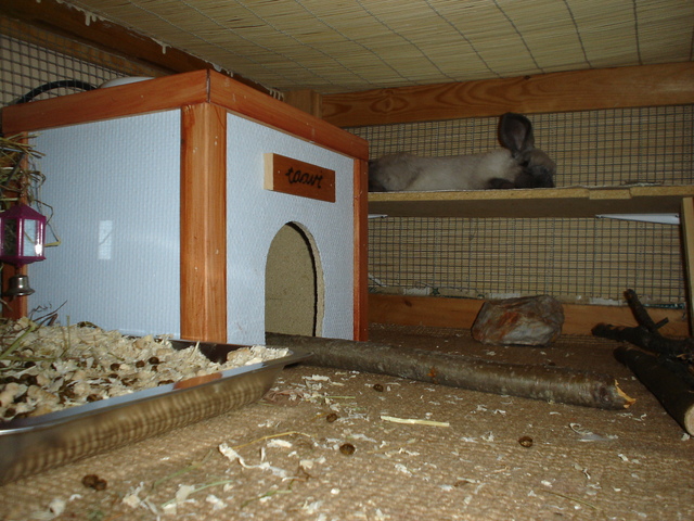 dsc02149.jpg