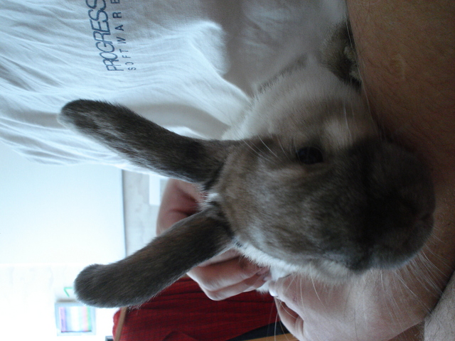 dsc02285.jpg