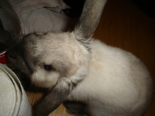 dsc02288.jpg