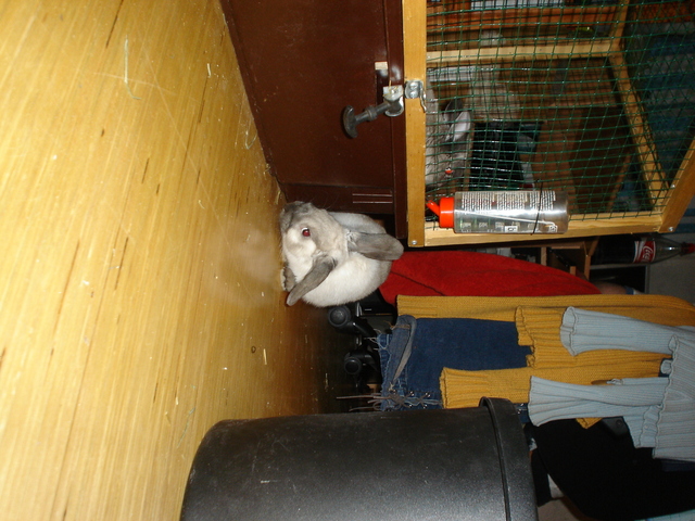 dsc02290.jpg