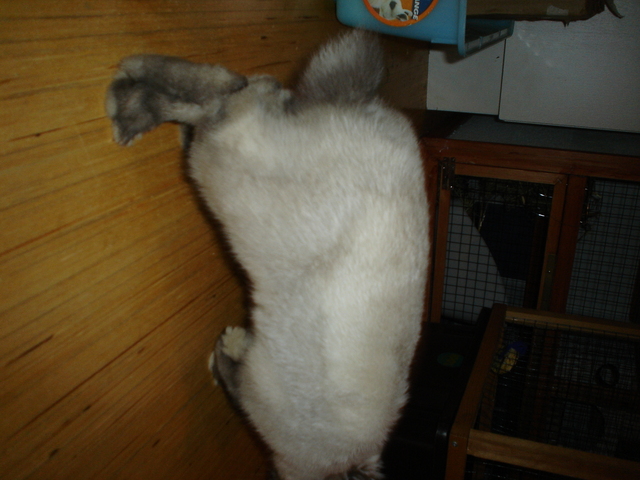 dsc02294.jpg