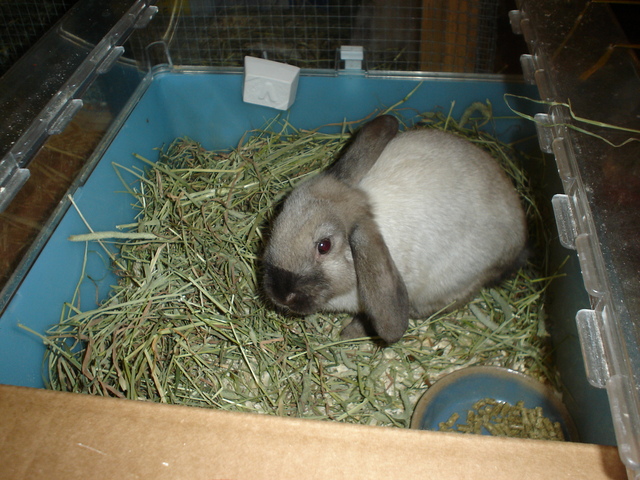 dsc02005.jpg