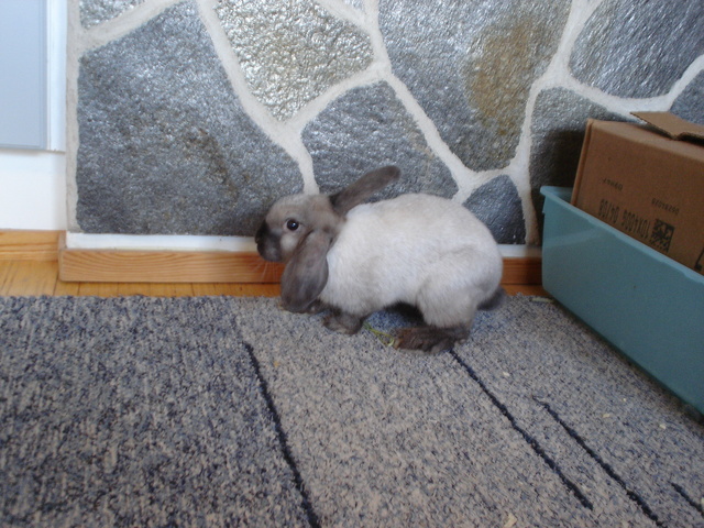 dsc02013.jpg