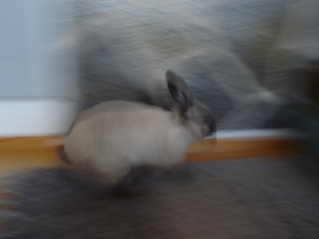 dsc02014.jpg