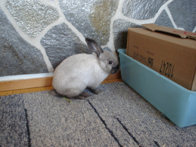 dsc02015.jpg