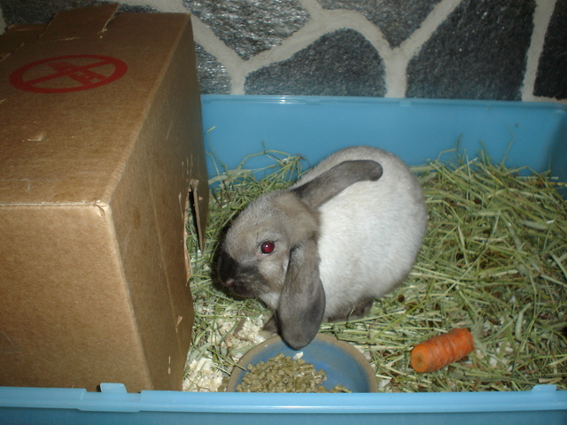 dsc02019.jpg